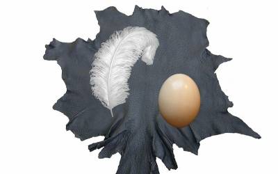 Cuir-oeuf-plume Pont d'Amour 1.jpg